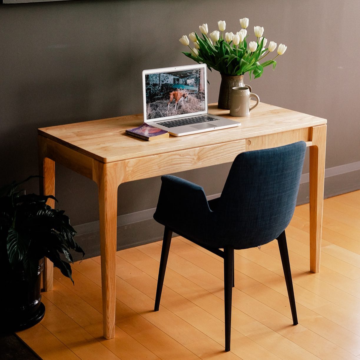Bear Desk