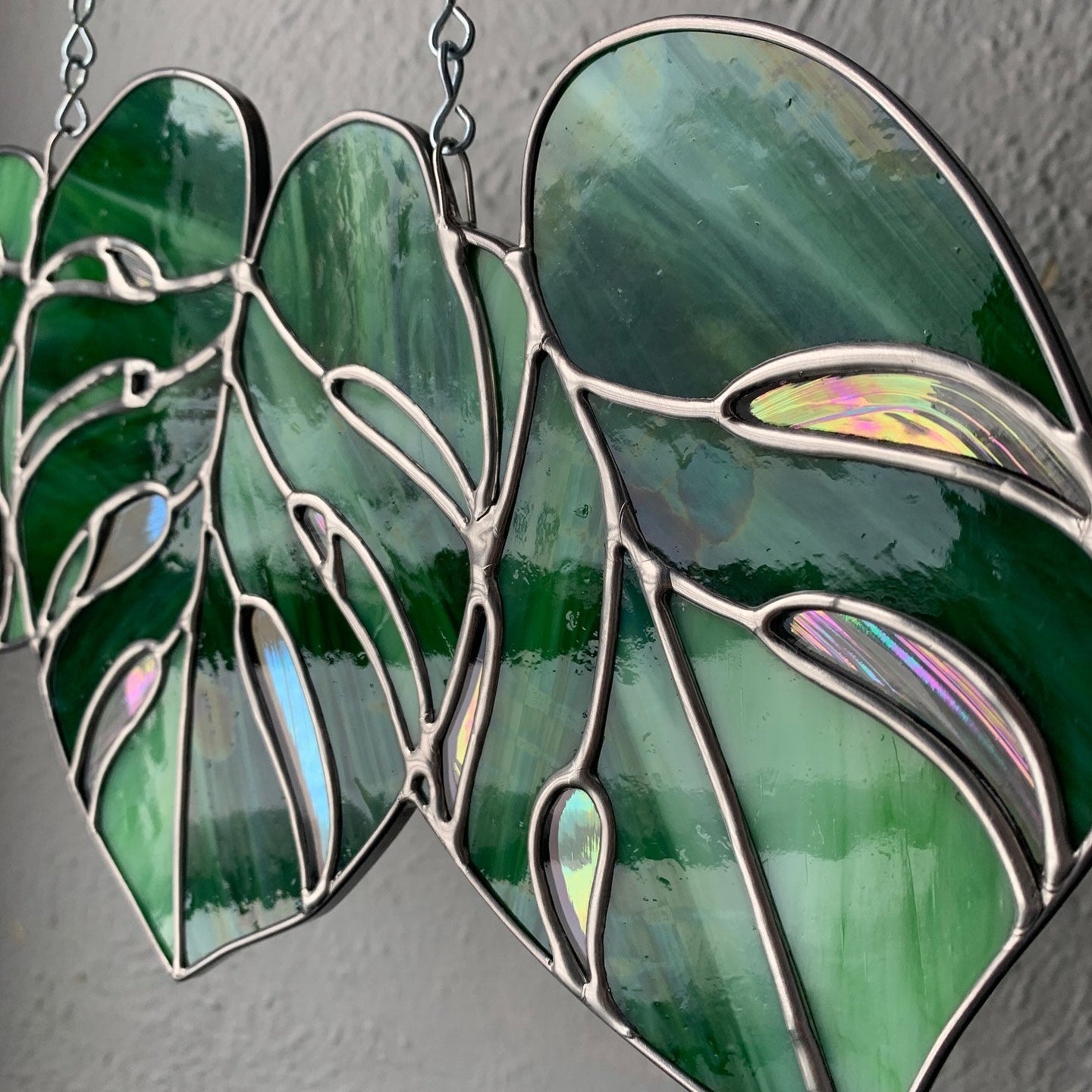 Triple Monstera Window Hanger
