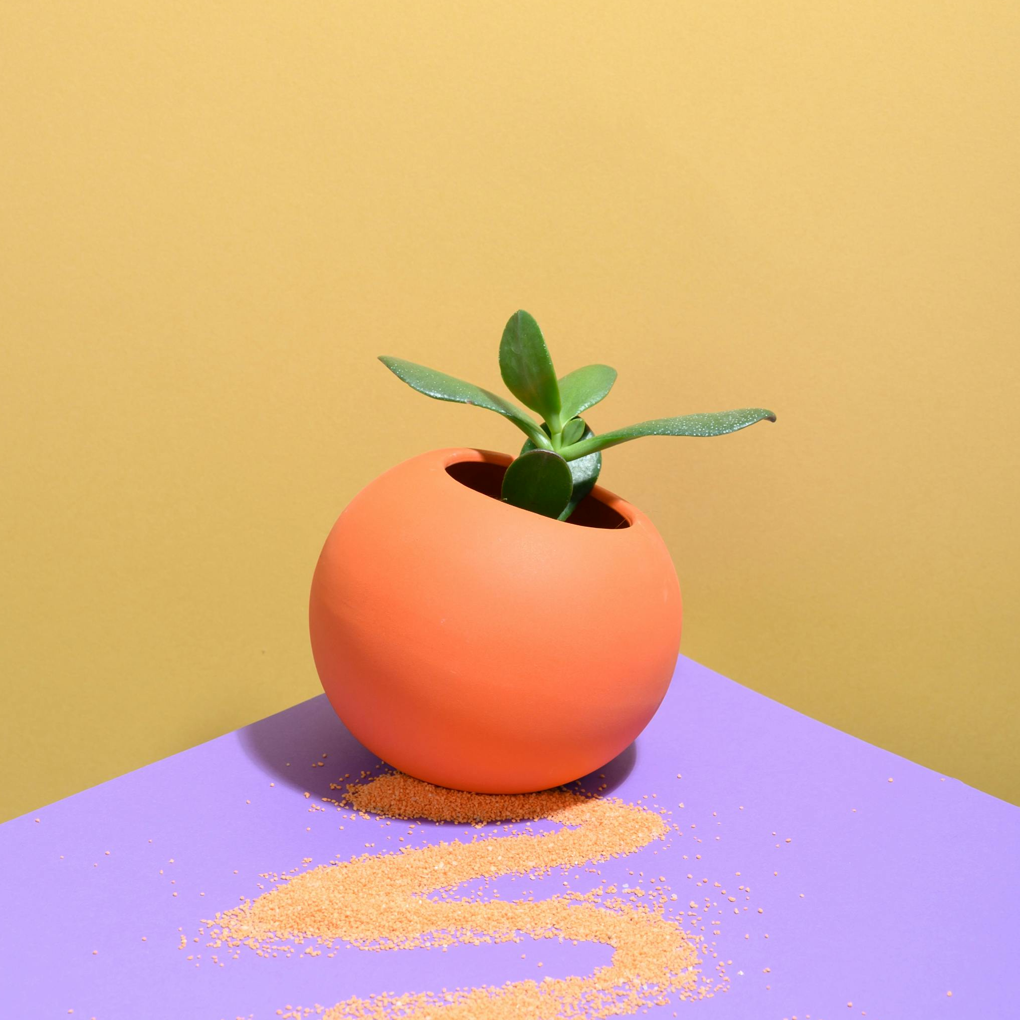 Half Peachy Vase
