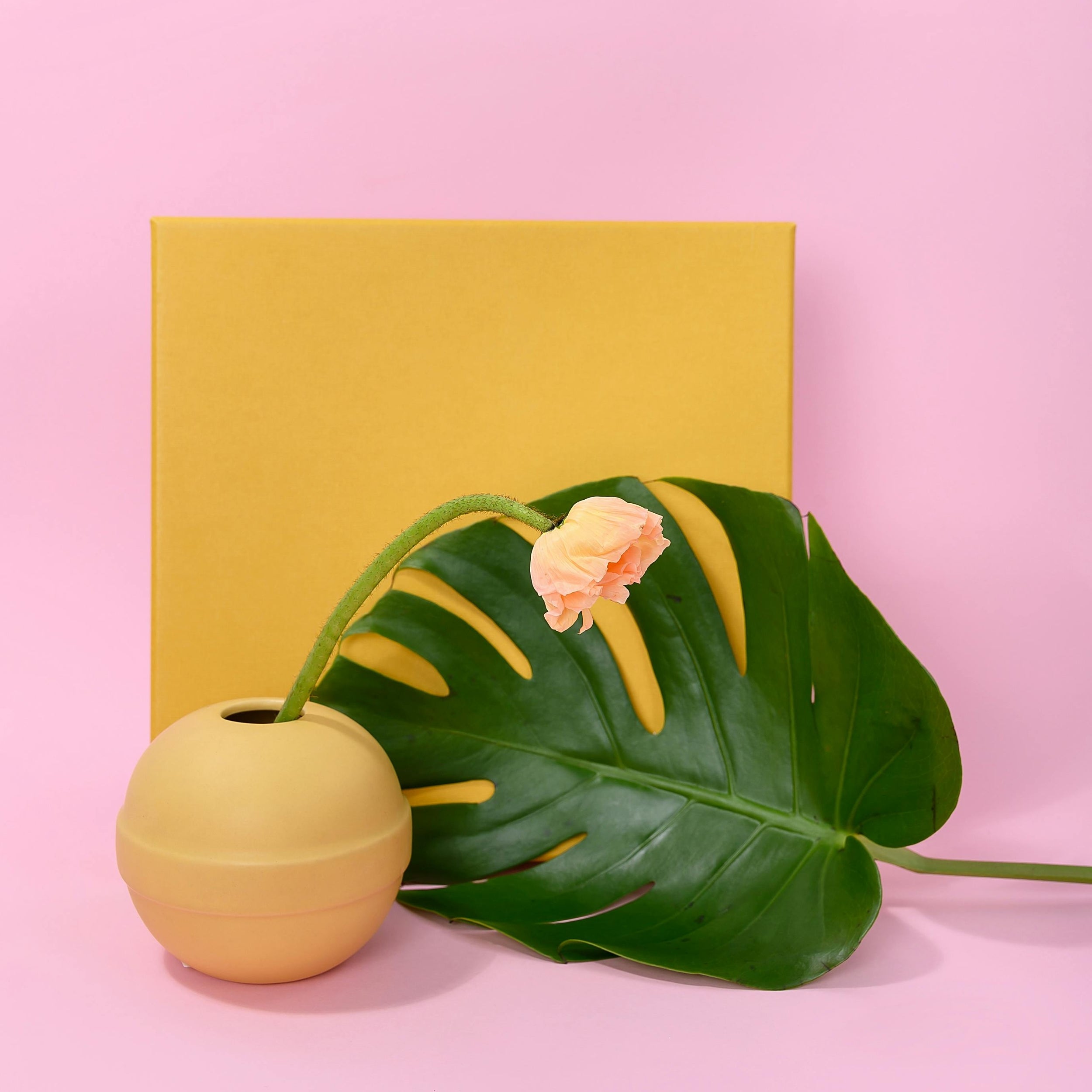 Lollipop Vase