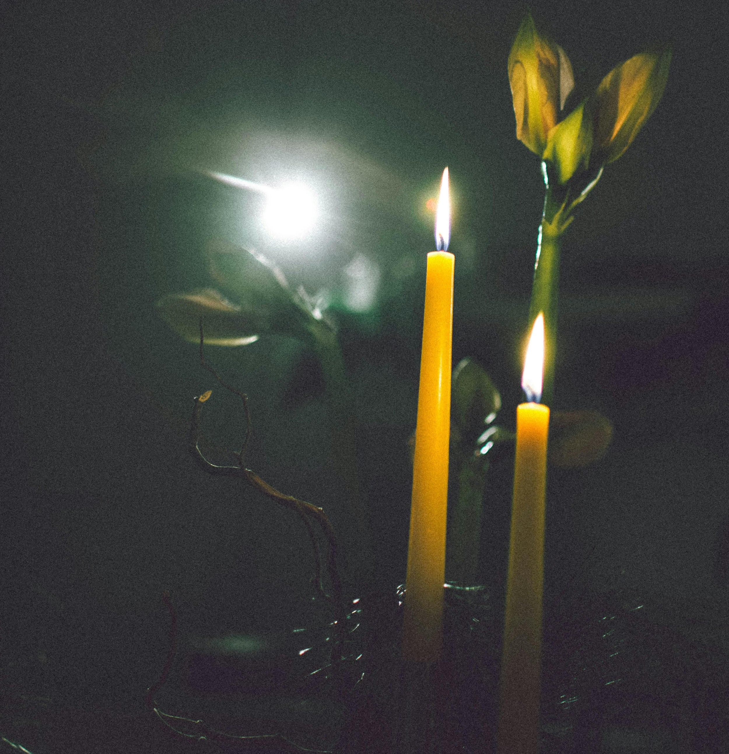 Taper Candles