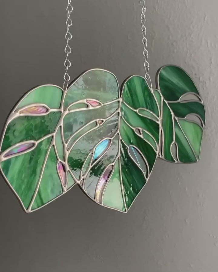 Triple Monstera Window Hanger